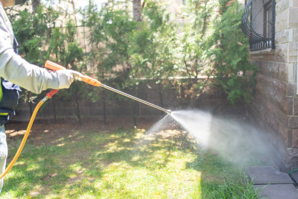 Professional Pest Control in Mountain Village, CO