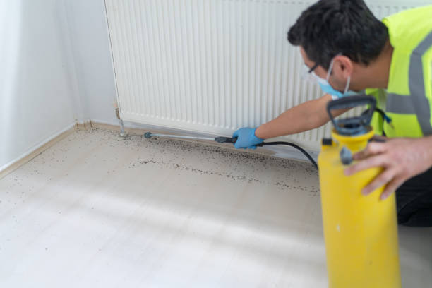 Pest Prevention Services in Mountain Village, CO